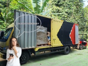 Apa itu ekspedisi edtrans karunia persada